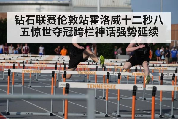 110m hurdles race