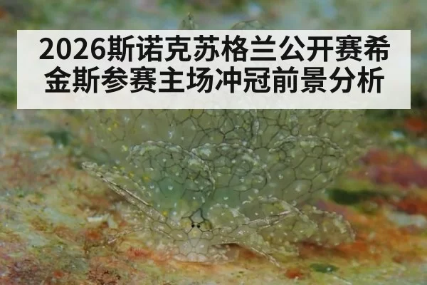 2026斯诺克苏格兰公开赛希金斯参赛主场冲冠前景分析